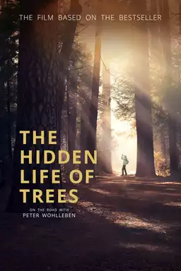 The Hidden Life of Trees