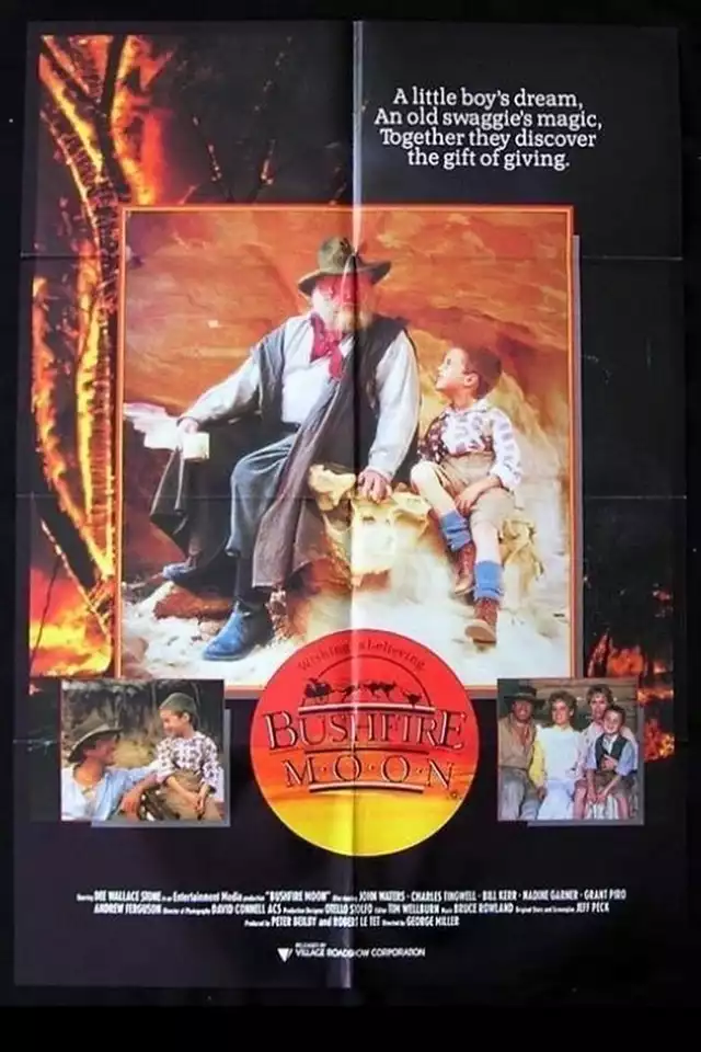 movie vertical poster fallback