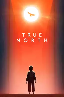 True North