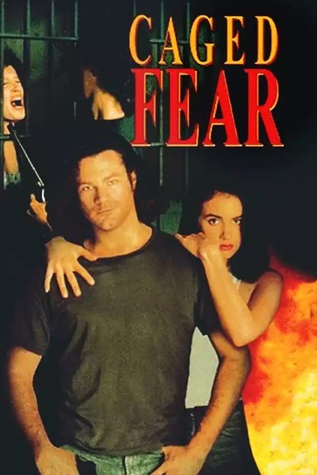 movie vertical poster fallback