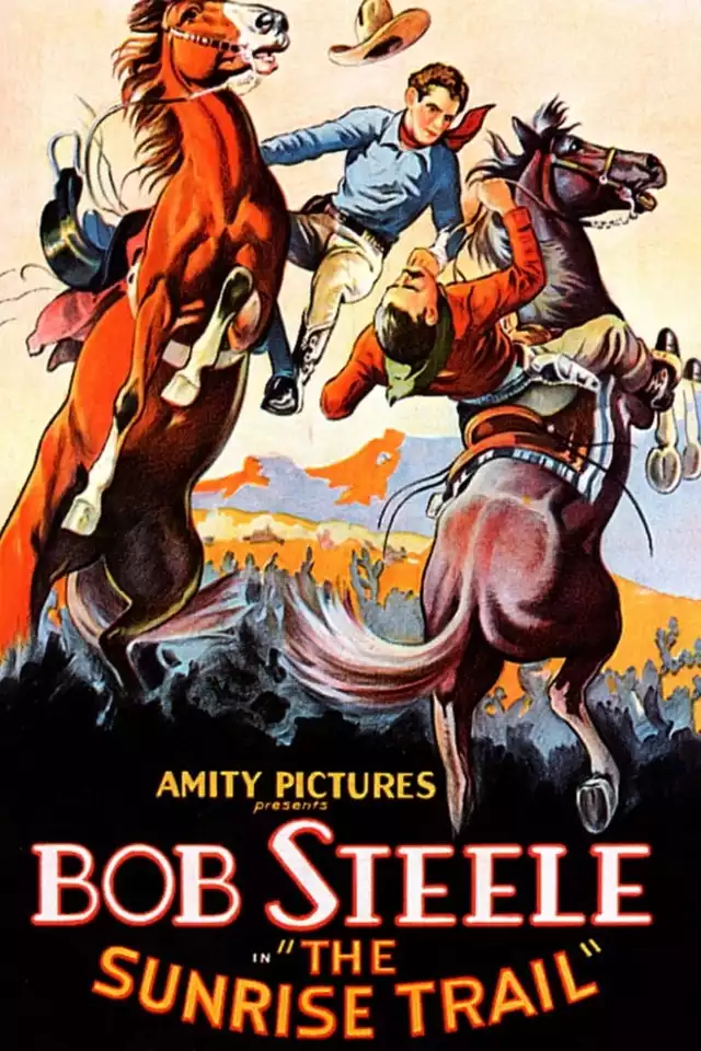 movie vertical poster fallback