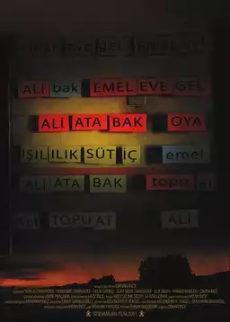 Ali Ata Bak