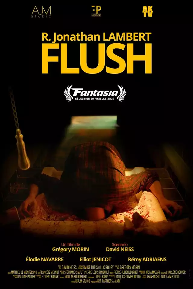 movie vertical poster fallback