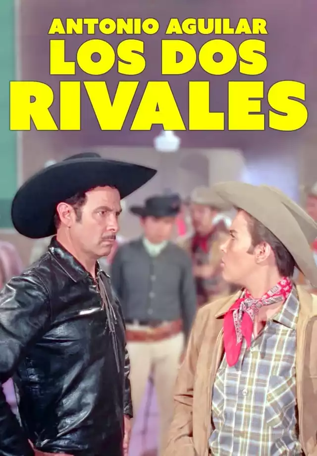movie vertical poster fallback