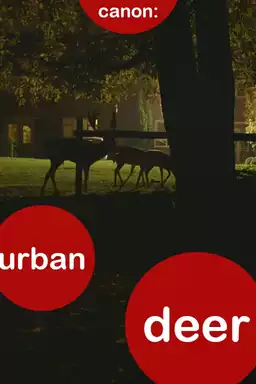 Canon: Urban Deer