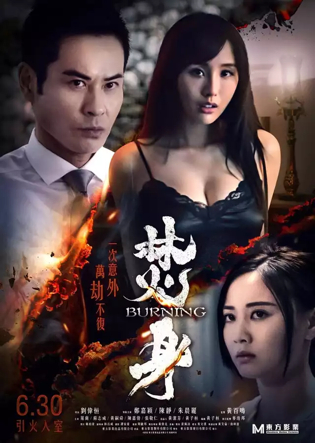 movie vertical poster fallback