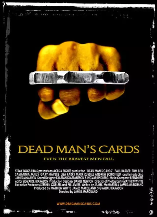 movie vertical poster fallback