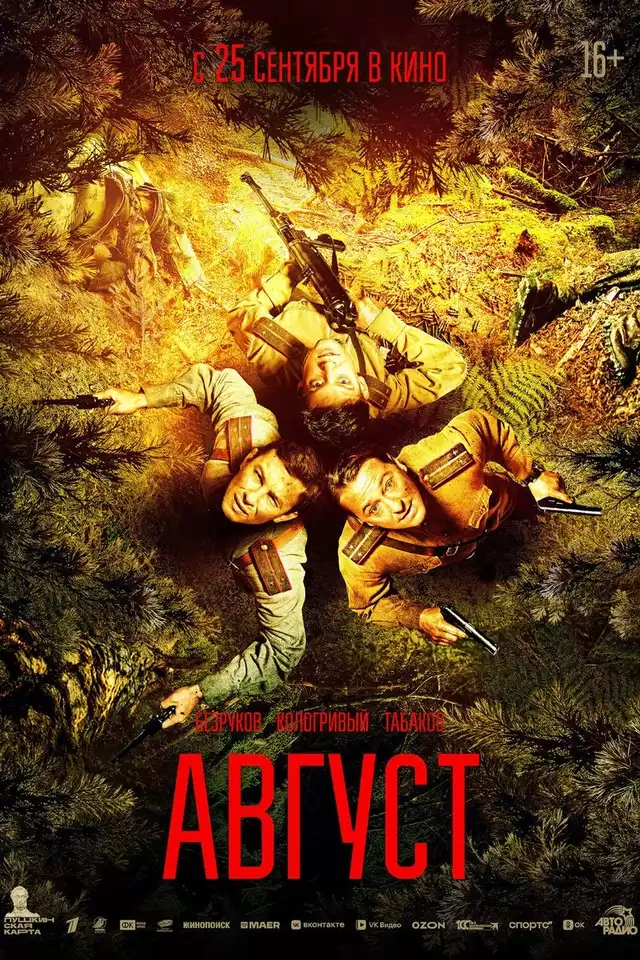 movie vertical poster fallback