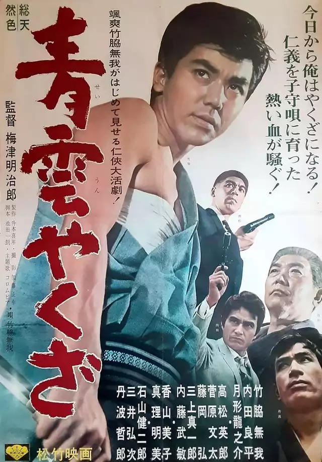 movie vertical poster fallback