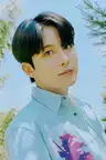 avatar fallback
