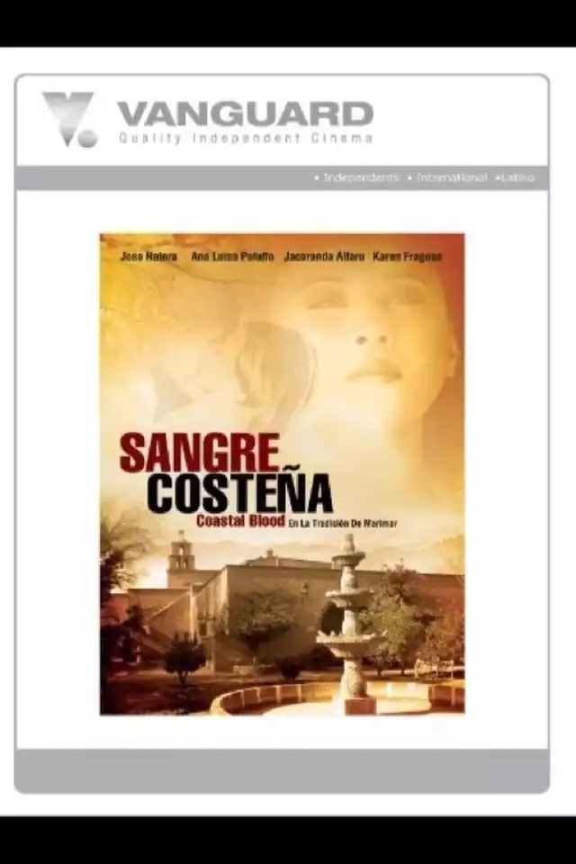 movie vertical poster fallback