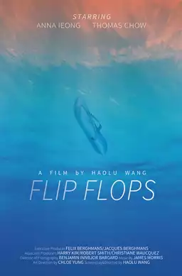 Flip Flops