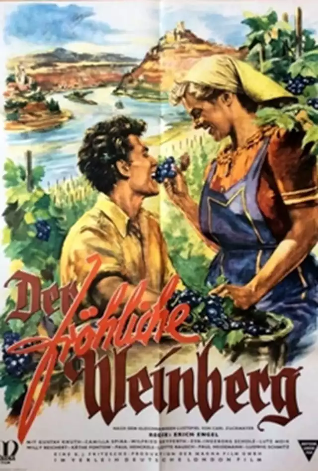 movie vertical poster fallback