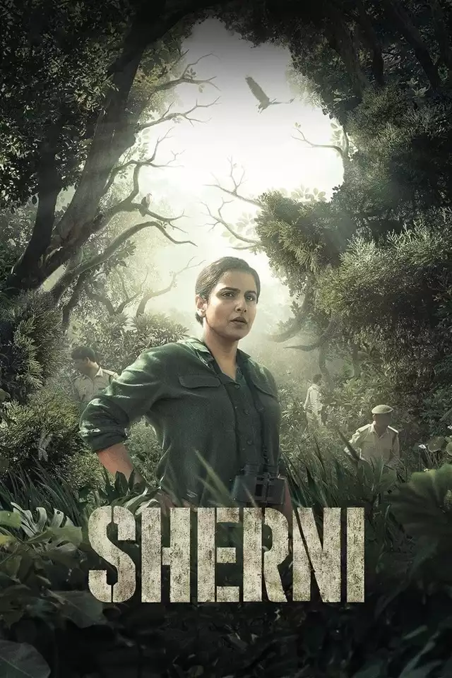 movie vertical poster fallback