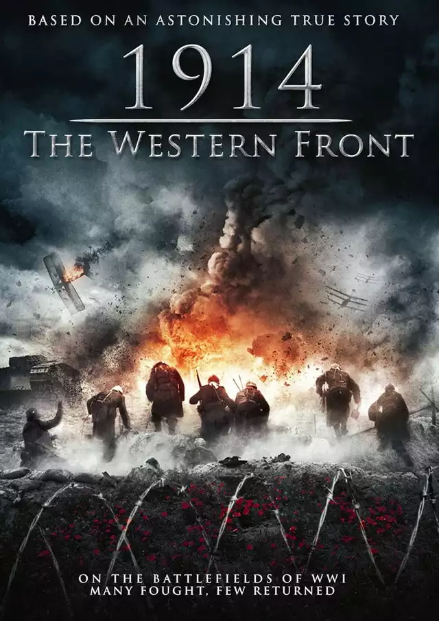movie vertical poster fallback
