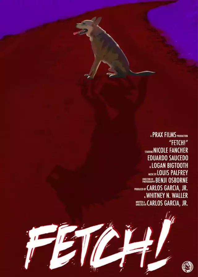 movie vertical poster fallback