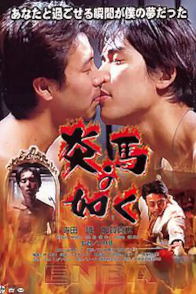 movie vertical poster fallback