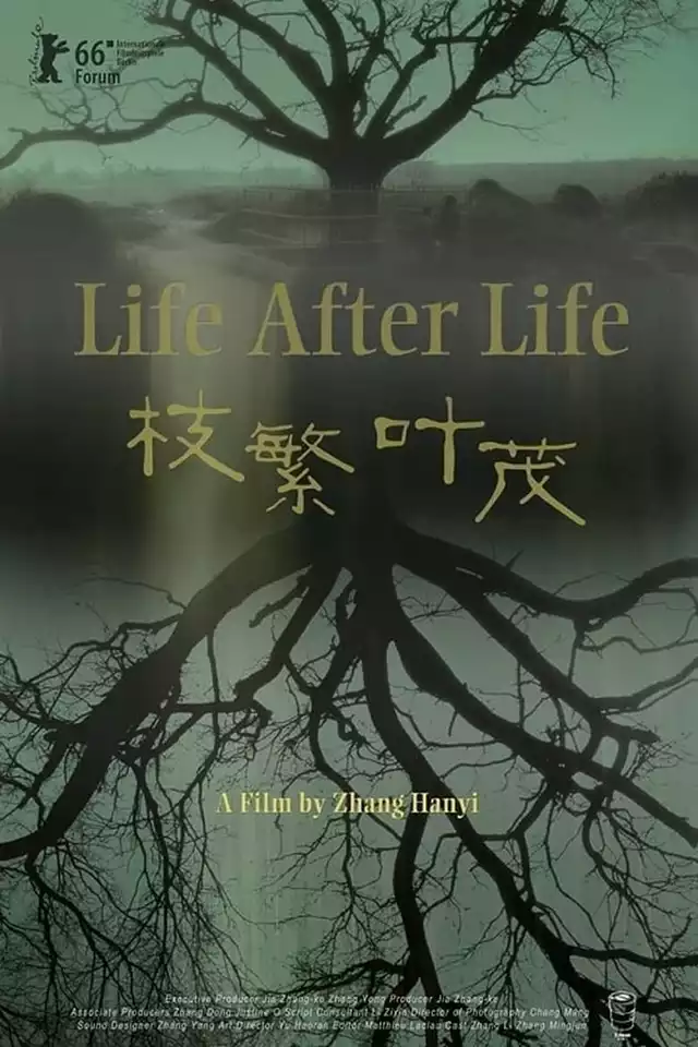 movie vertical poster fallback