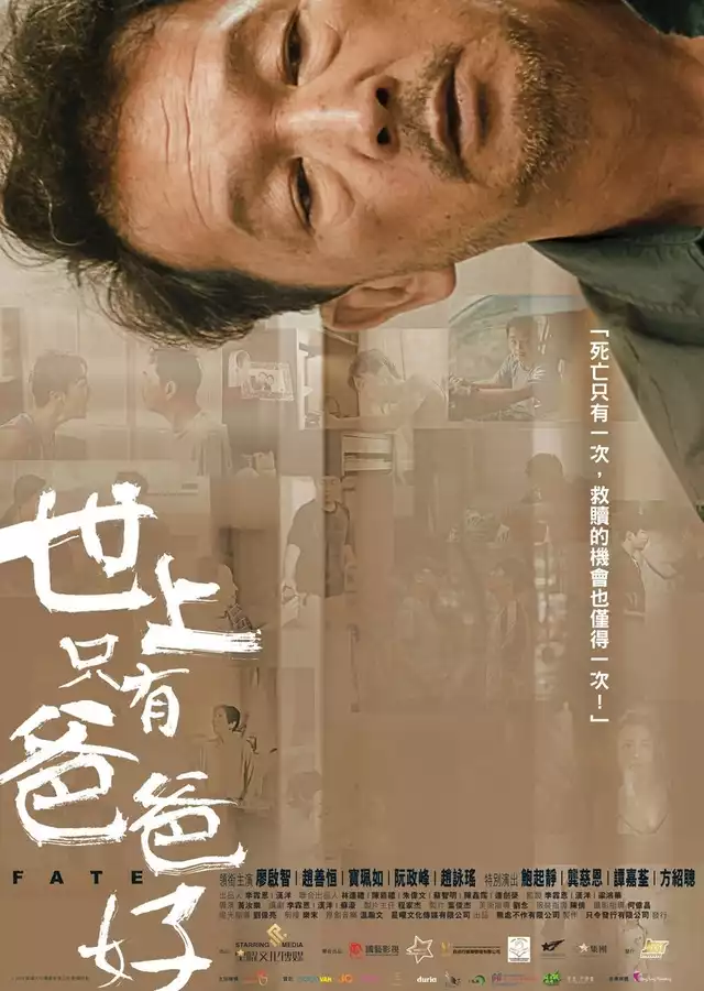 movie vertical poster fallback