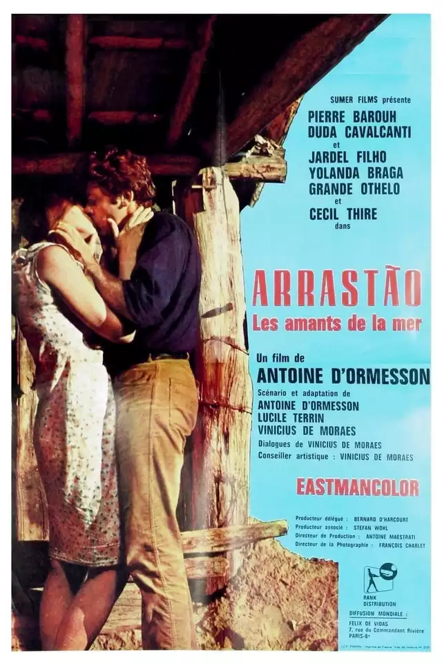 movie vertical poster fallback