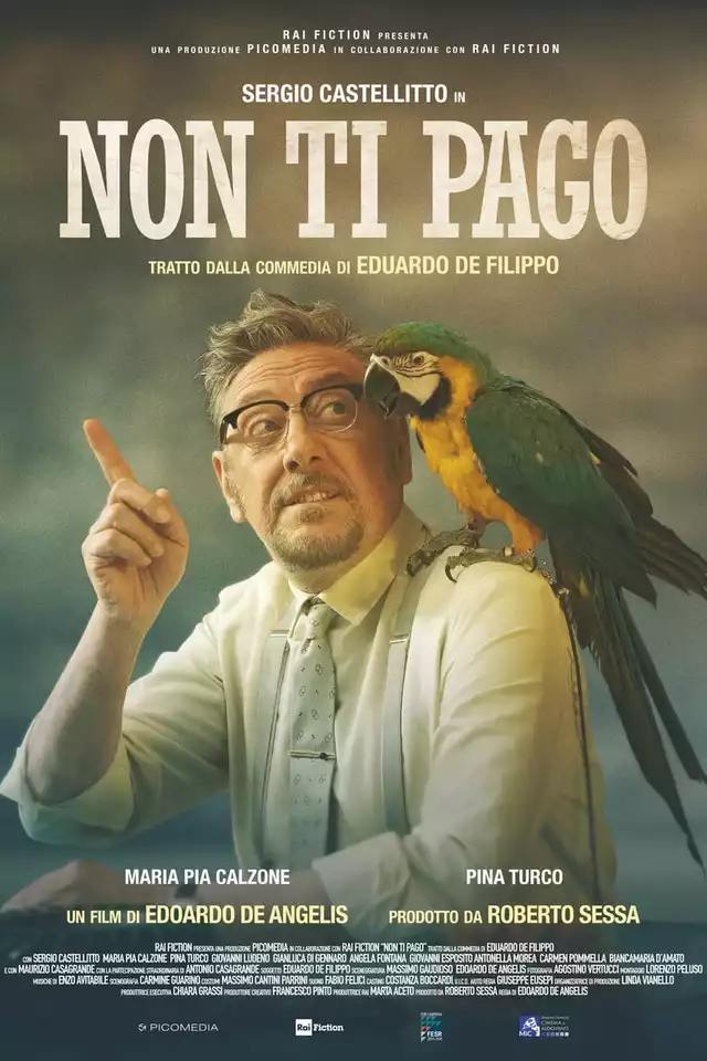 movie vertical poster fallback
