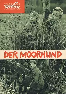 The Moorhound