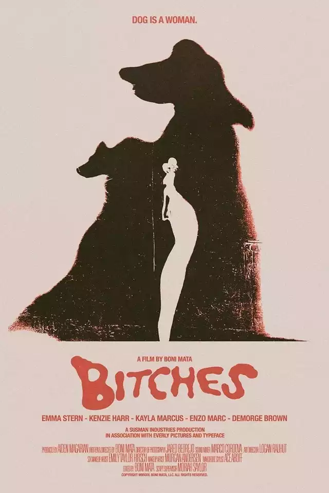 movie vertical poster fallback
