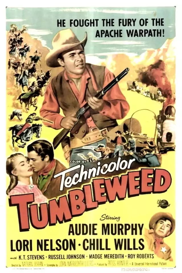 movie vertical poster fallback
