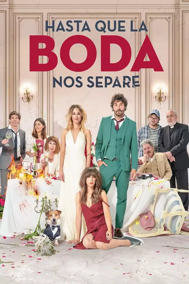 movie vertical poster fallback