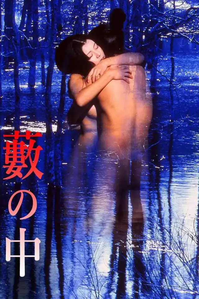 movie vertical poster fallback