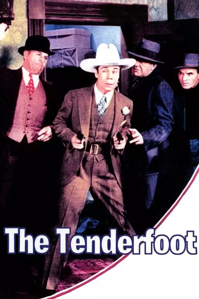 movie vertical poster fallback