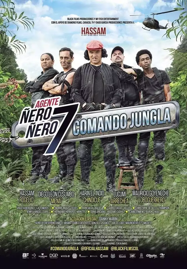 movie vertical poster fallback