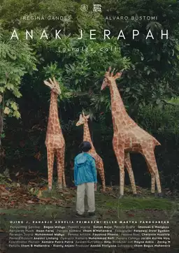 Anak Jerapah