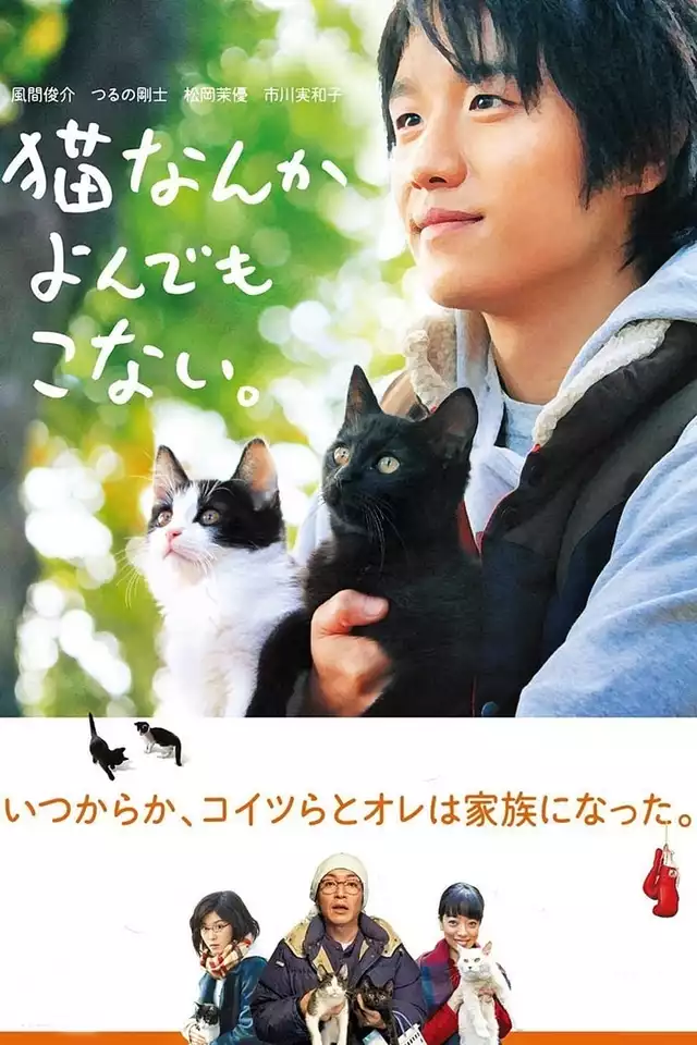 movie vertical poster fallback