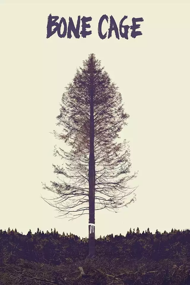 movie vertical poster fallback