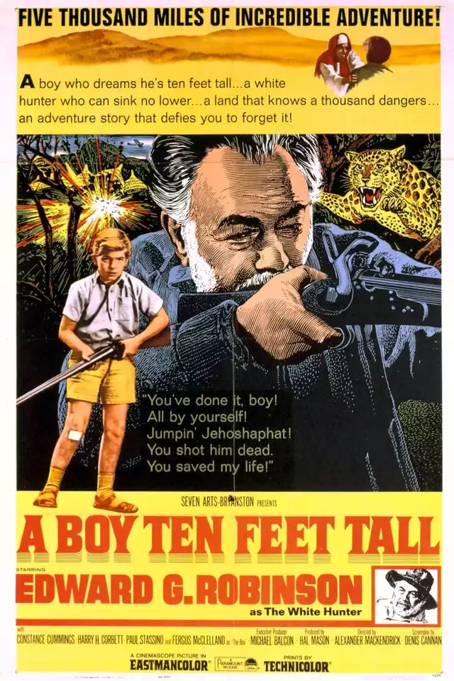 movie vertical poster fallback