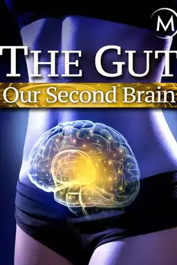 The Gut: Our Second Brain