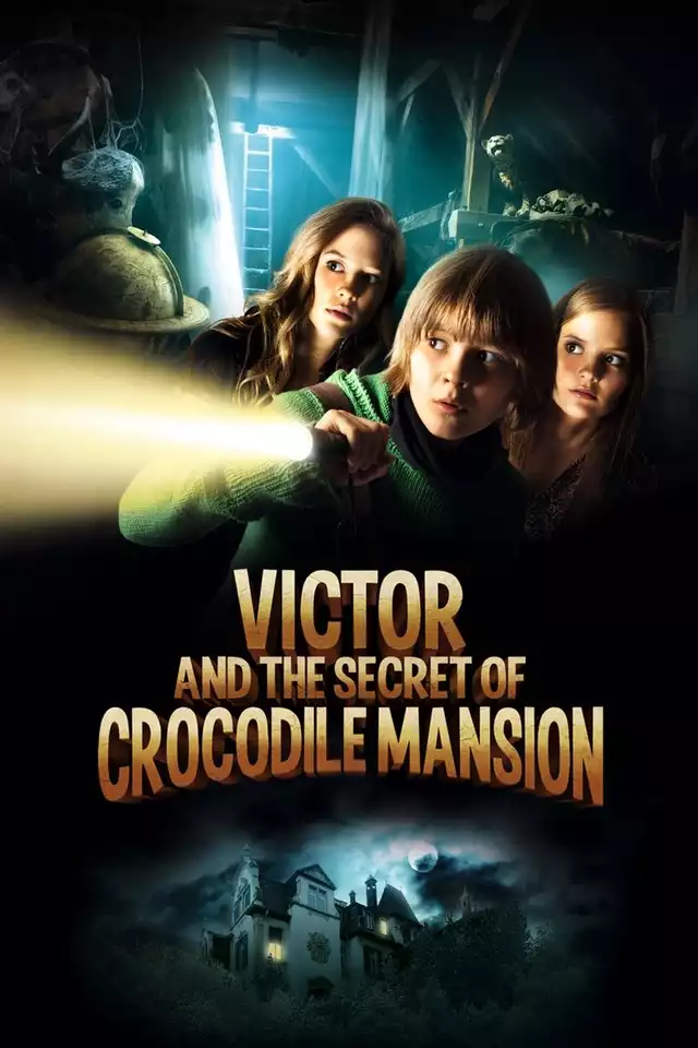 movie vertical poster fallback