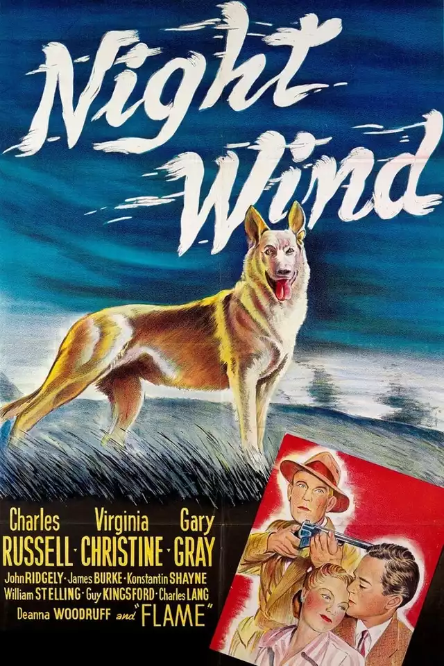 movie vertical poster fallback