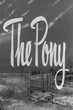 The Pony