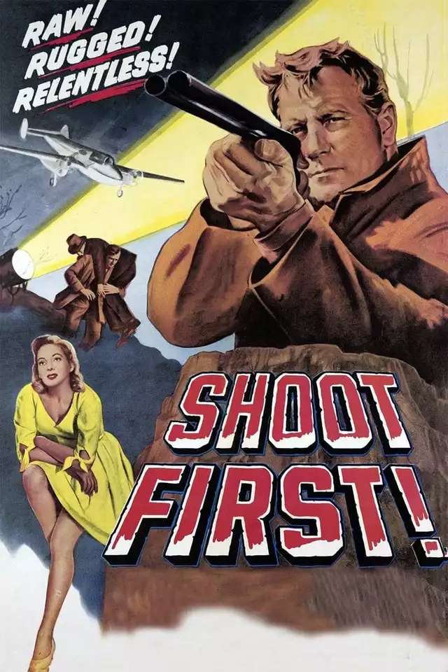 movie vertical poster fallback