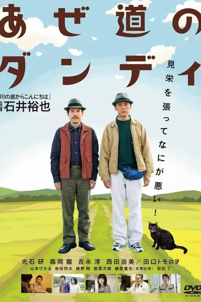 movie vertical poster fallback