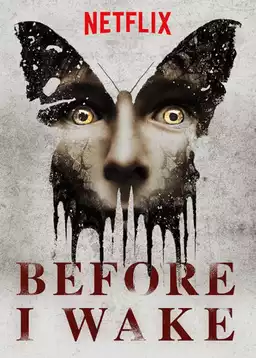 Before I Wake