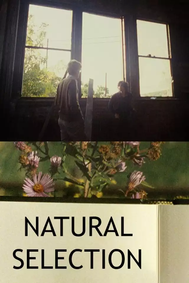 movie vertical poster fallback