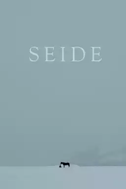 Seide