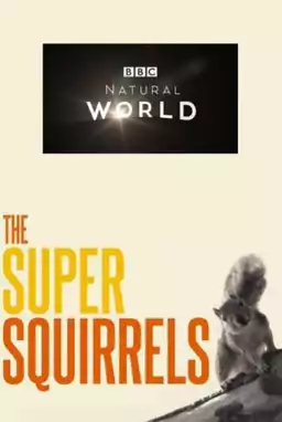 Super Squirrels