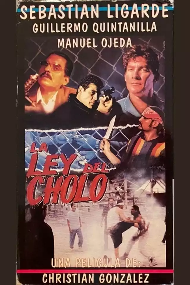movie vertical poster fallback