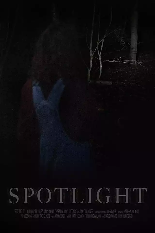 movie vertical poster fallback