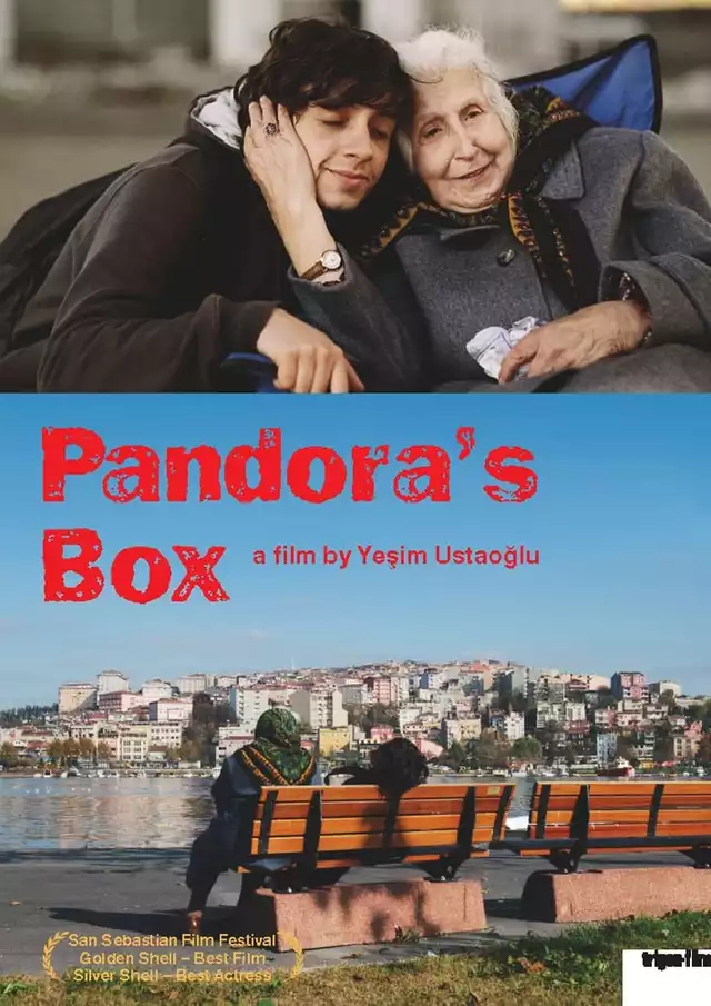 movie vertical poster fallback