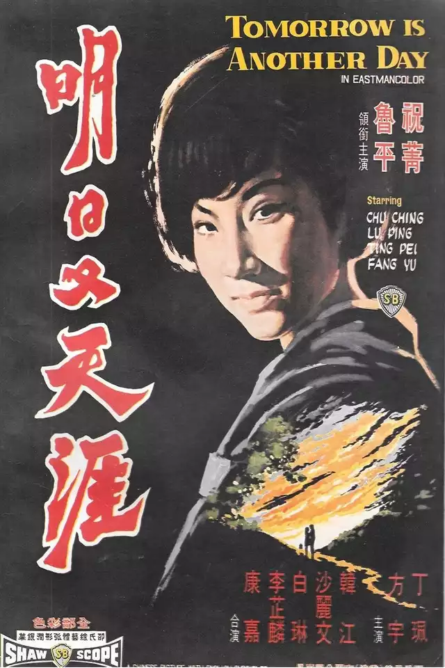 movie vertical poster fallback